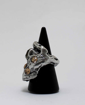 CITRIC RING